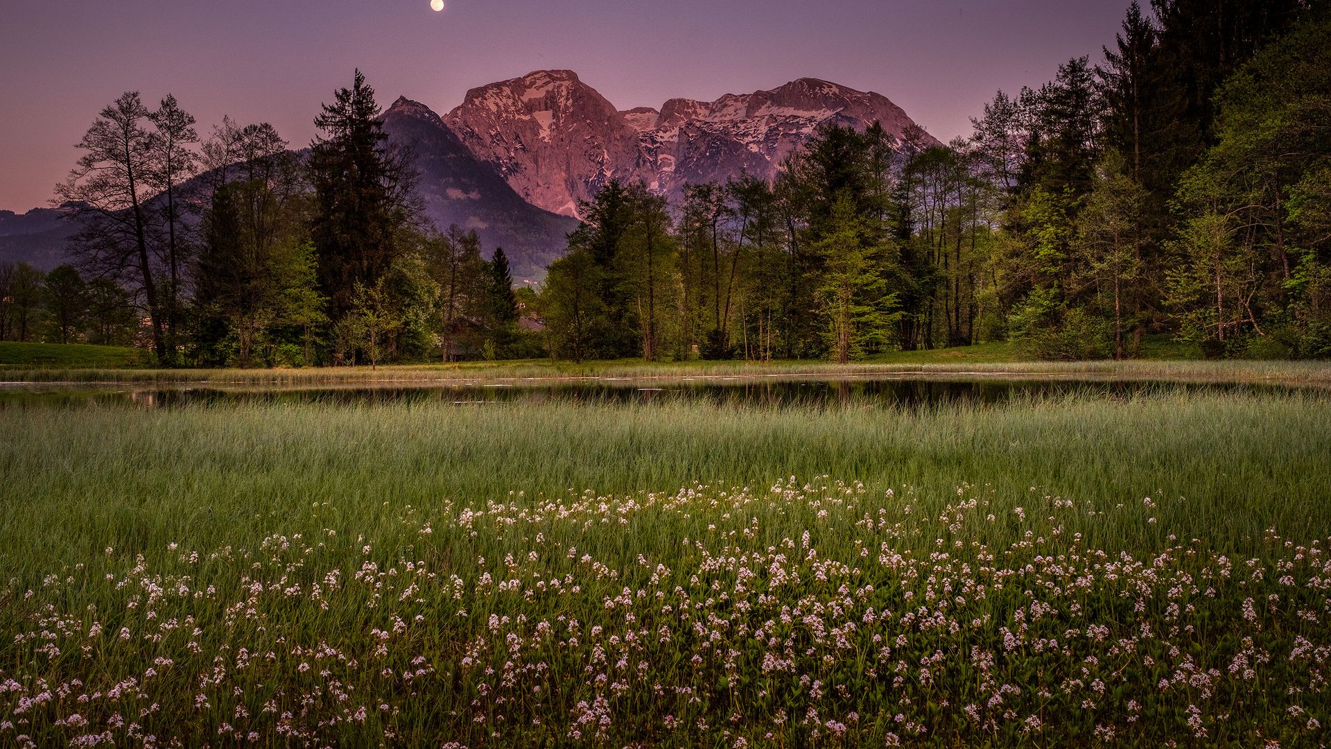 Mondnacht am Böcklweiher