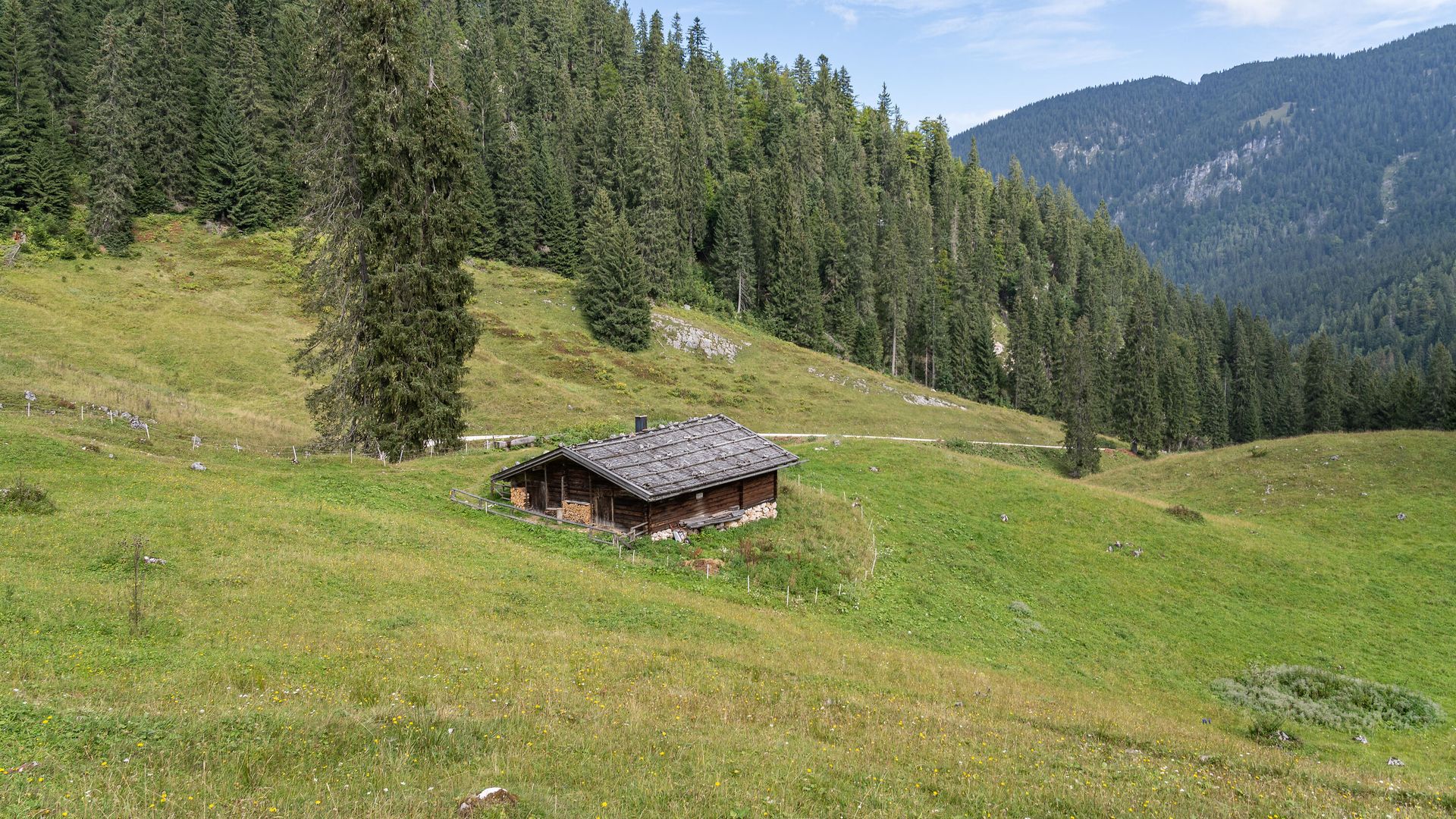 Dalsenalm