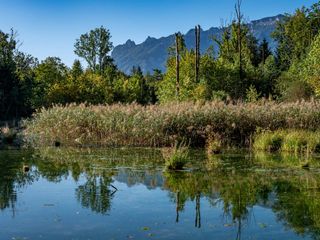 Bild zu Mit dem Biosphären-Ranger unterwegs: Auenlandschaft im Wandel
