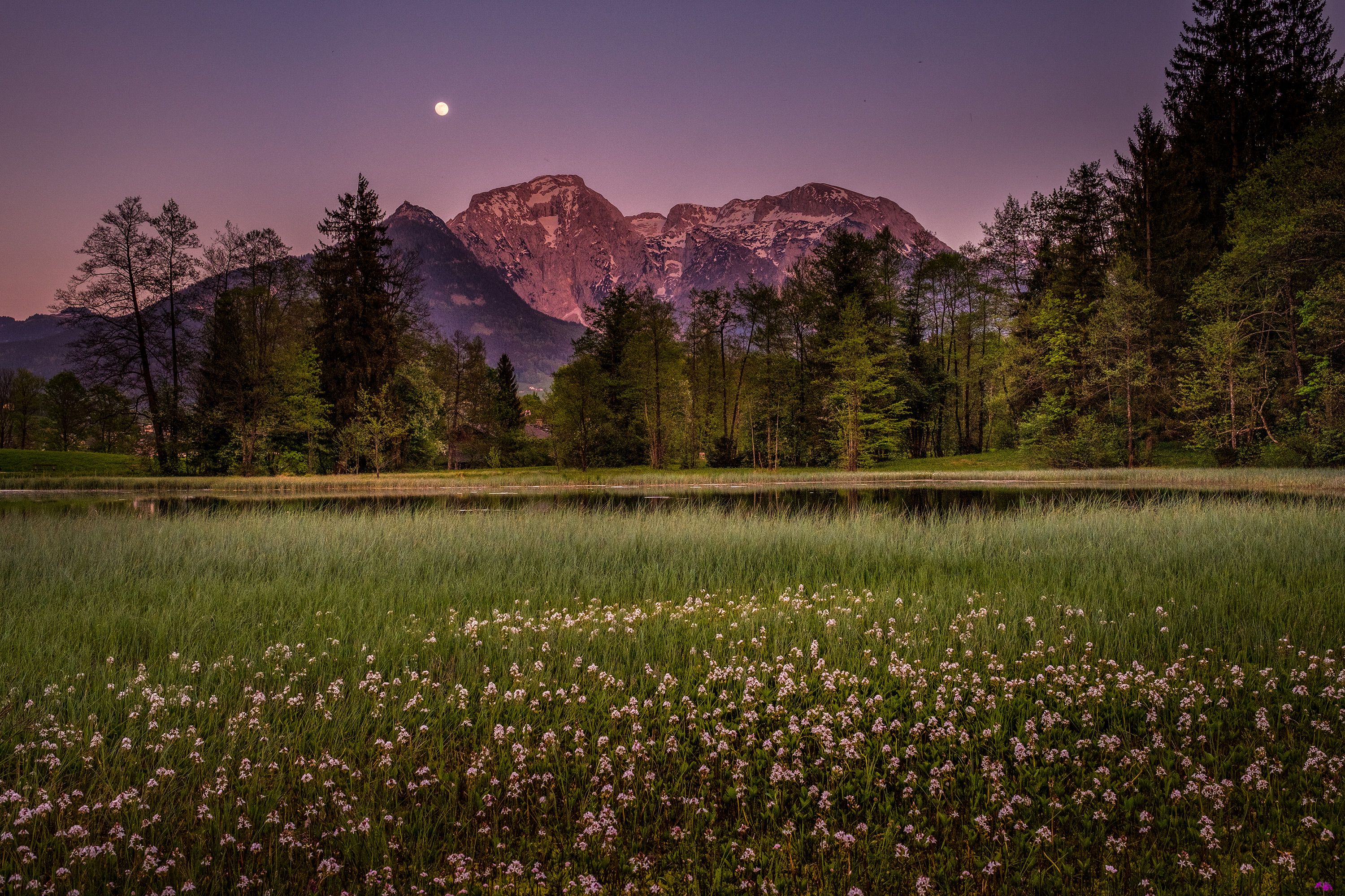 Mondnacht am Böcklweiher