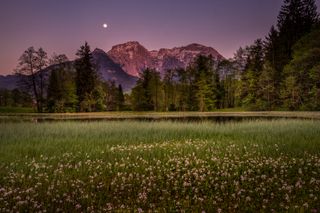 Mondnacht am Böcklweiher