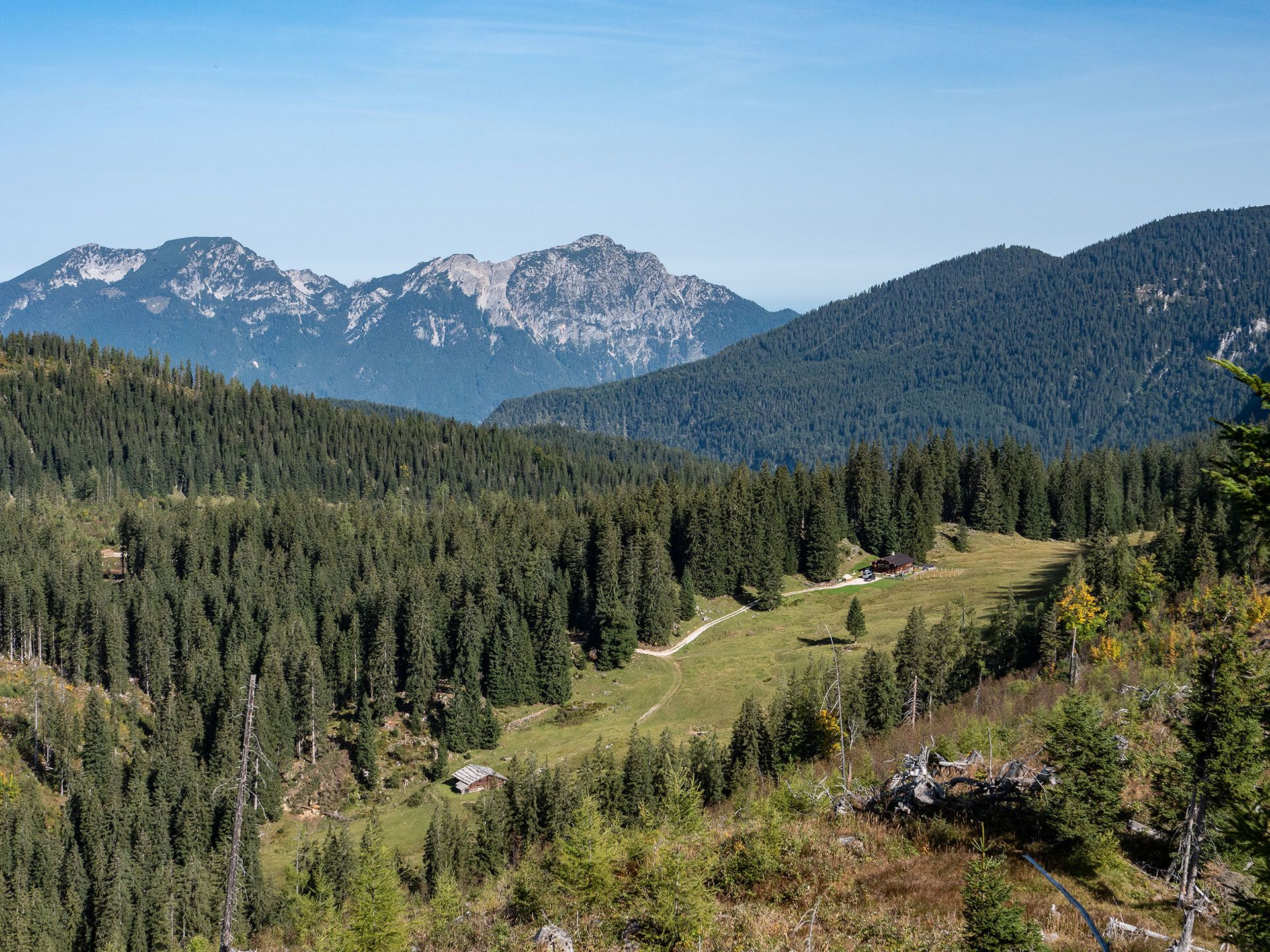 Bild zu Mit dem Biosphären-Ranger unterwegs: Almerleben im Lattengebirge