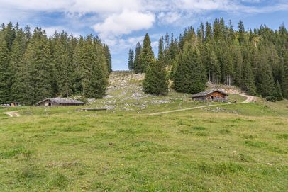 Die Moosenalm