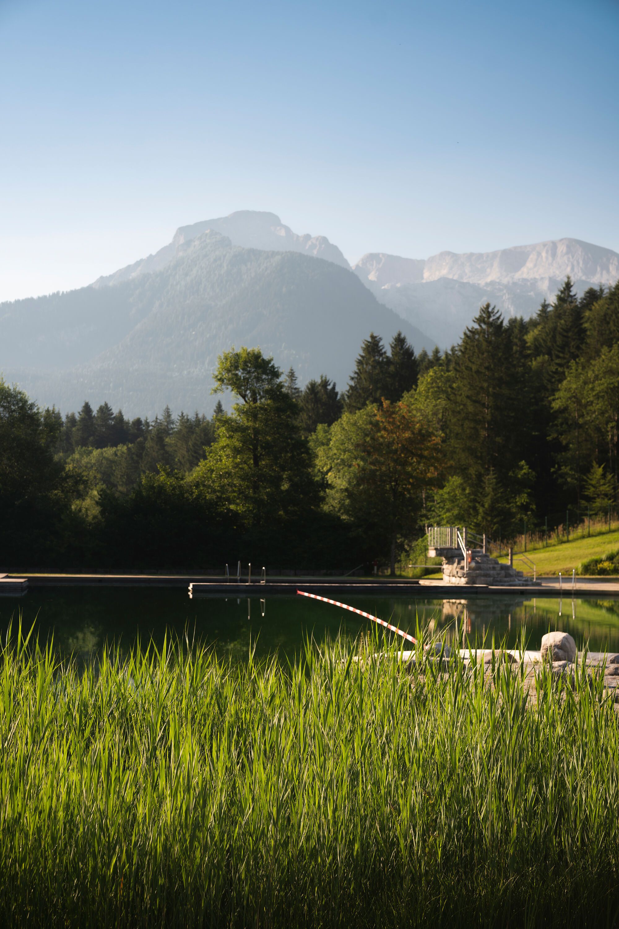 Blick zum hohen Göll vom "Aschi"