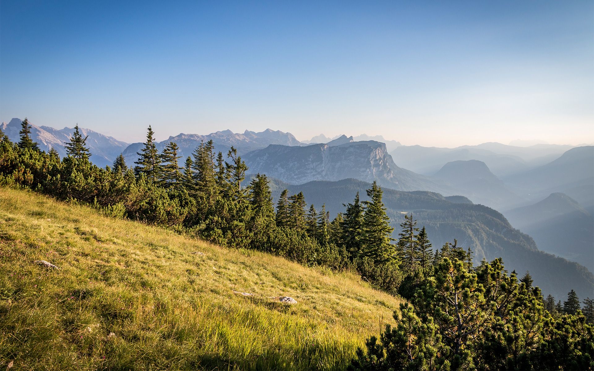 Aussicht am Predigtstuhl