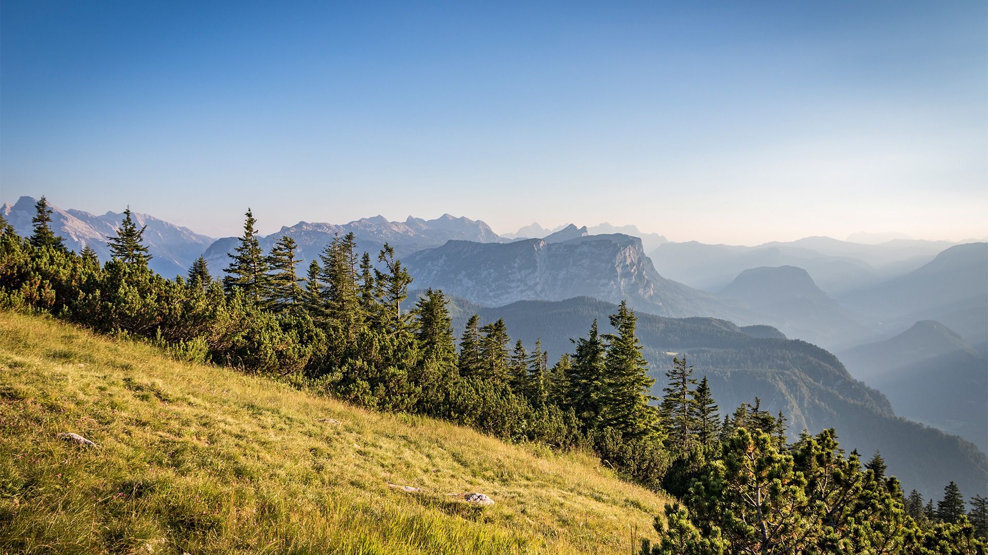 Aussicht am Predigtstuhl